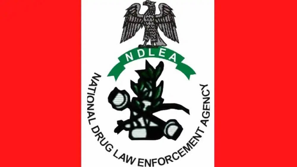 how-to-get-the-ndlea-visa-clearance-certificate-trip-guide-nigeria